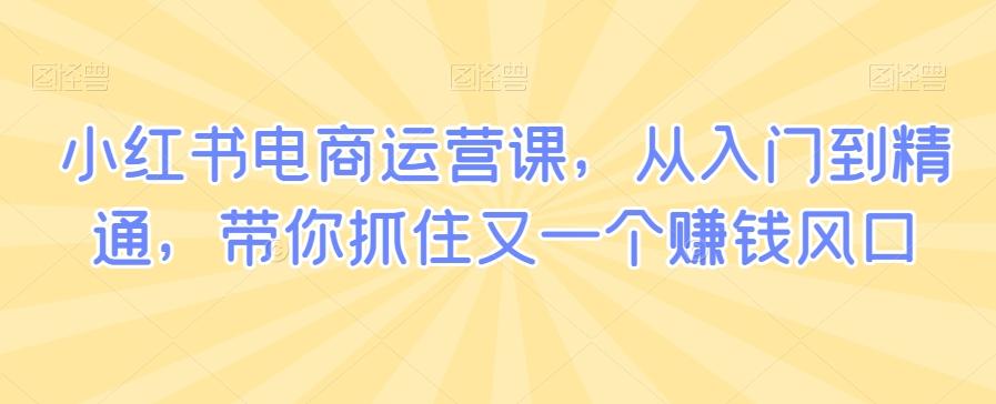 小红书电商运营课，从入门到精通，带你抓住又一个赚钱风口-雲鼎文化传媒