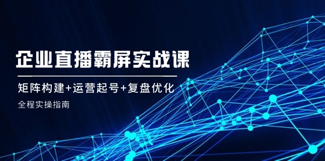 企业直播霸屏实战课：矩阵构建+运营起号+复盘优化，全程实操指南-雲鼎文化传媒