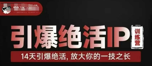 引爆绝活IP训练营，14天引爆绝活，放大你的一技之长-雲鼎文化传媒