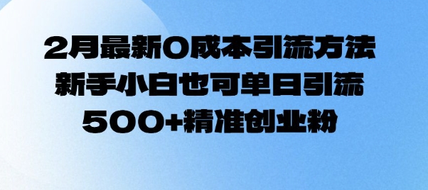 2月最新0成本引流方法，新手小白也可单日引流500+精准创业粉-雲鼎文化传媒