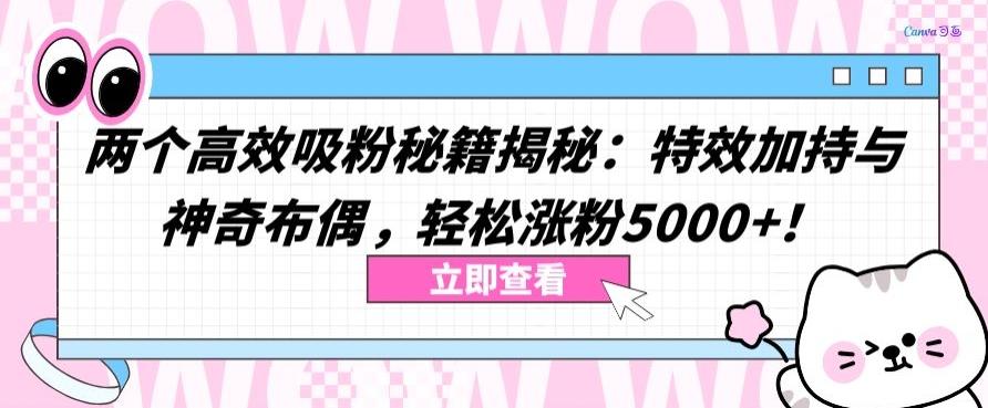 两个高效吸粉秘籍揭秘：特效加持与神奇布偶，轻松涨粉5000+【揭秘】-雲鼎文化传媒