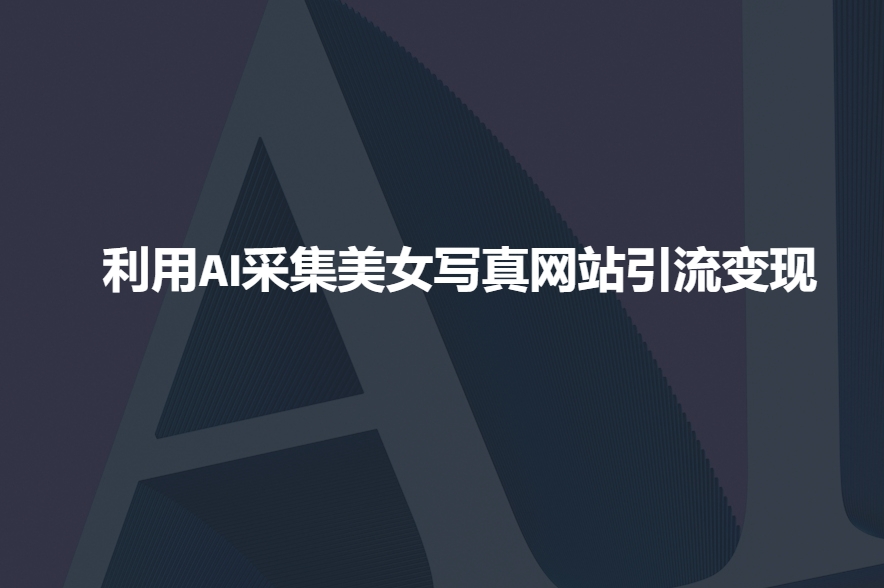 利用AI采集美女写真网站引流变现，引流嘎嘎的-雲鼎文化传媒