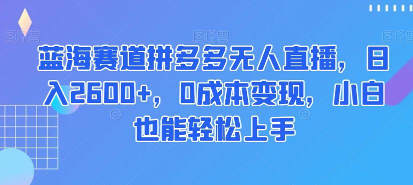 蓝海赛道拼多多无人直播，日入2600+，0成本变现，小白也能轻松上手【揭秘】-雲鼎文化传媒