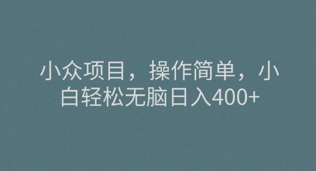 小众项目，操作简单，小白轻松无脑日入400+-雲鼎文化传媒