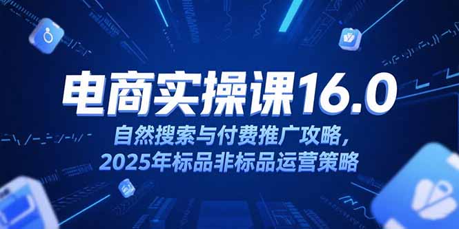 淘宝电商运营课16.0，自然搜索与付费推广攻略，2025年标品非标品运营策略-雲鼎文化传媒