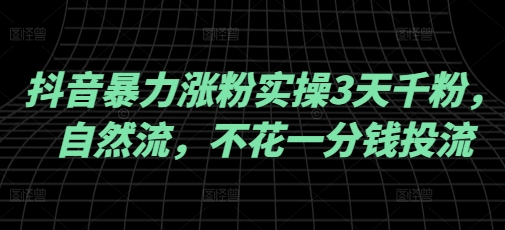 抖音暴力涨粉实操3天千粉，自然流，不花一分钱投流，实操经验分享-雲鼎文化传媒