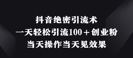 抖音绝密引流术，一天轻松引流100+创业粉，当天操作当天见效果-雲鼎文化传媒