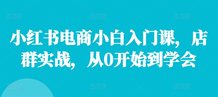 小红书电商小白入门课，店群实战，从0开始到学会-雲鼎文化传媒