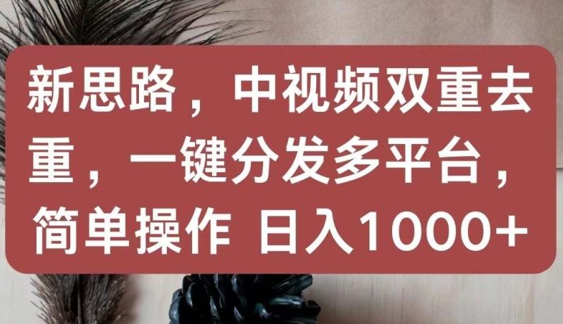 新思路，中视频双重去重，一键分发多平台，简单操作，日入1000+【揭秘】-雲鼎文化传媒