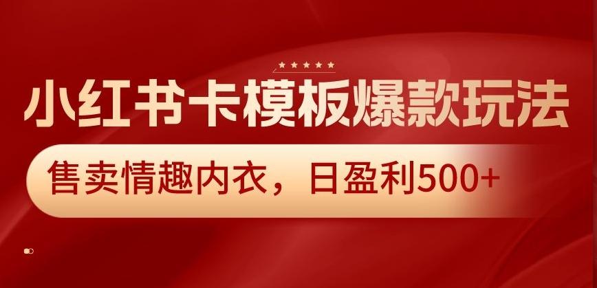 小红书卡模板爆款玩法，售卖情趣内衣，日盈利500+【揭秘】-雲鼎文化传媒