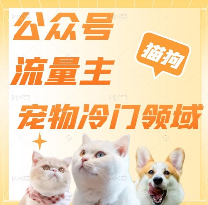 公众号流量主，萌宠冷门领域，单日收益2000+，简单暴力掘金，矩阵操作，无限放大收益！-雲鼎文化传媒