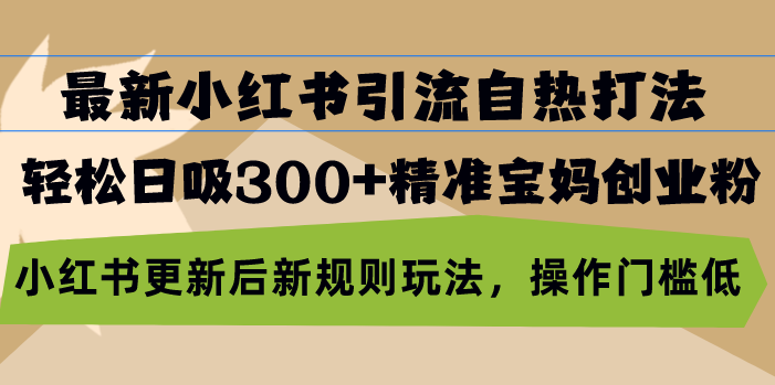 最新小红书引流自热打法，轻松日吸300+精准宝妈创业粉，小红书更新后新…-雲鼎文化传媒