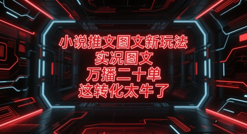 小说推文图文新玩法，实况图文，万播二十单，这转化太牛了！-雲鼎文化传媒