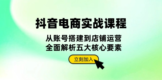 抖音 电商实战课程：从账号搭建到店铺运营，全面解析五大核心要素-雲鼎文化传媒