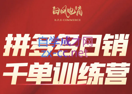 白凤电商·拼多多日销千单训练营(更新4月)-雲鼎文化传媒