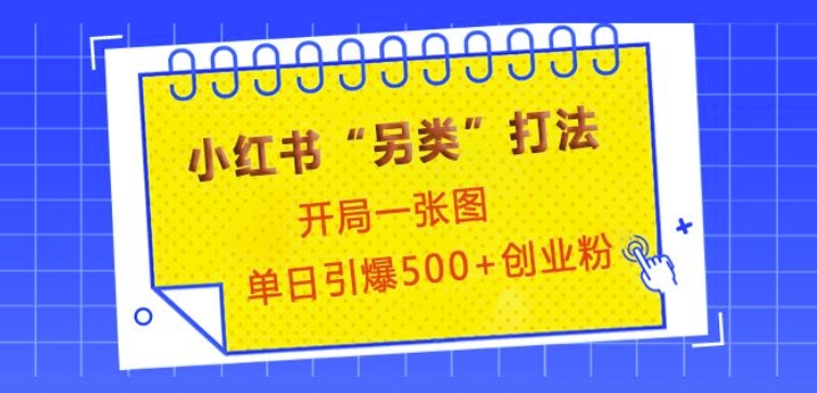 小红书“另类”打法，开局一张图，单日引爆500+精准创业粉【揭秘】-雲鼎文化传媒