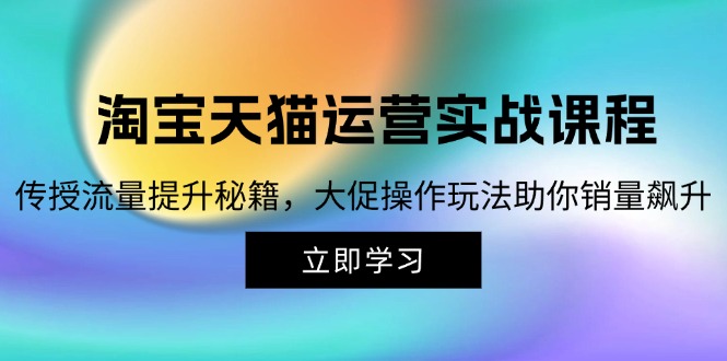 淘宝&天猫运营实战课程，传授流量提升秘籍，大促操作玩法助你销量飙升-雲鼎文化传媒