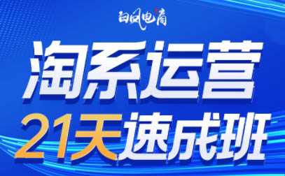 白凤电商·淘系运营21天速成班(更新3月)-雲鼎文化传媒