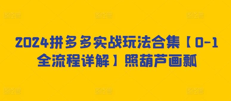 2024拼多多实战玩法合集【0-1全流程详解】照葫芦画瓢-雲鼎文化传媒