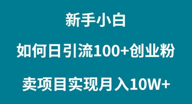 (9556期)新手小白如何通过卖项目实现月入10W+-雲鼎文化传媒