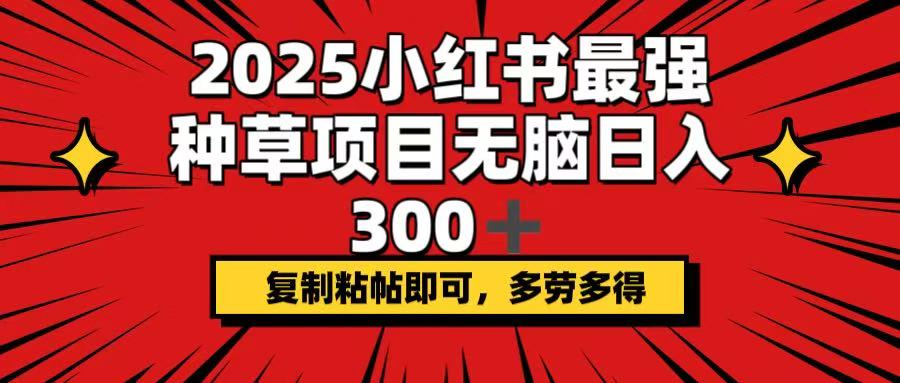2025小红书最强种草项目，无脑日入300+，复制粘帖即可，多劳多得-雲鼎文化传媒