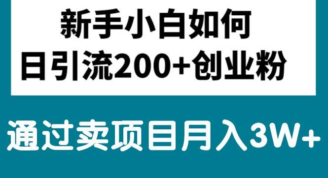 新手小白日引流200+创业粉,通过卖项目月入3W+-雲鼎文化传媒