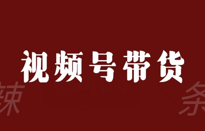 视频号带货联盟，赚信息差的带货钱，只需手机随时随地都可以做！-雲鼎文化传媒