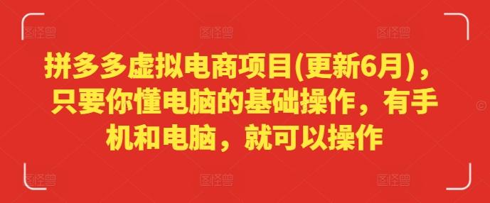 拼多多虚拟电商项目(更新6月)，只要你懂电脑的基础操作，有手机和电脑，就可以操作-雲鼎文化传媒