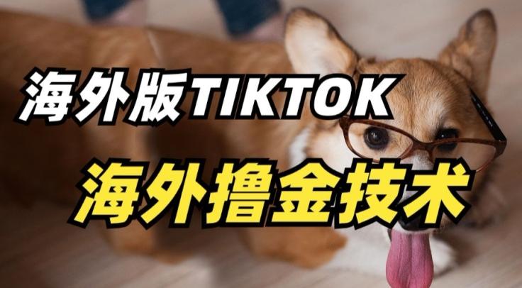 抖音海外版tiktok撸金技术，这个风口行业，赚钱真的不难【揭秘】-雲鼎文化传媒