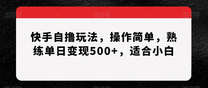 快手自撸玩法，操作简单，熟练单日变现500+，适合小白【揭秘】-雲鼎文化传媒