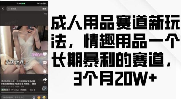 成人用品赛道新玩法，情趣用品一个长期暴利的赛道，3个月收益20个【揭秘】-雲鼎文化传媒