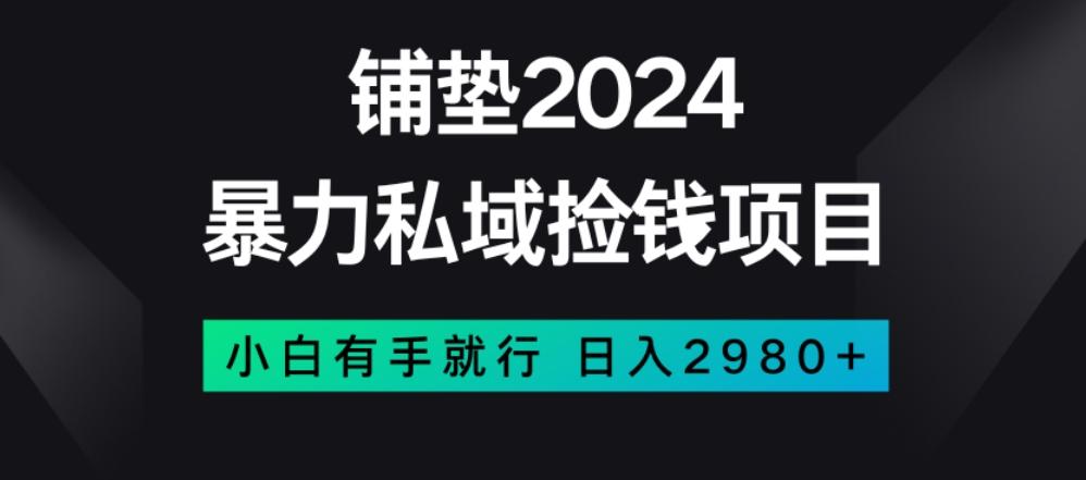 暴力私域捡钱项目，小白无脑操作，日入2980【揭秘】-雲鼎文化传媒