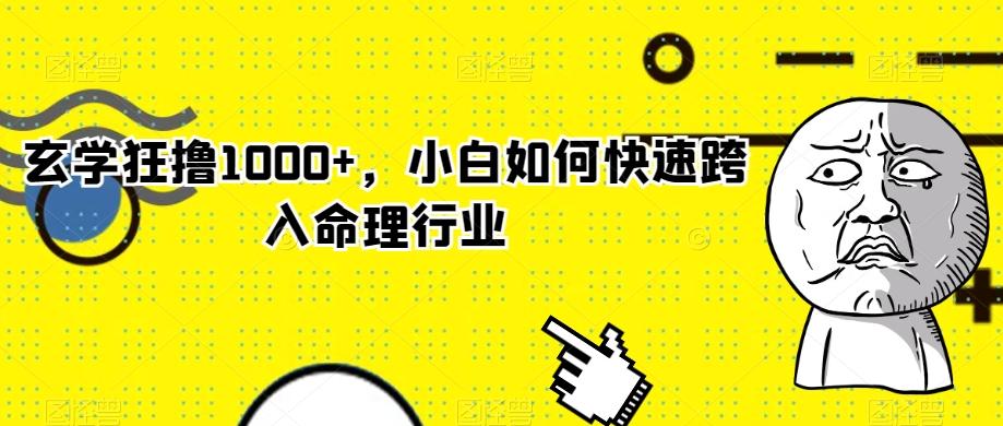 玄学狂撸1000+，小白如何快速跨入命理行业-雲鼎文化传媒
