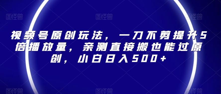 视频号原创玩法，一刀不剪提升5倍播放量，亲测直接搬也能过原创，小白日入500+【揭秘】-雲鼎文化传媒