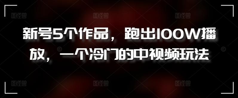 新号5个作品，跑出100W播放，一个冷门的中视频玩法【揭秘】-雲鼎文化传媒