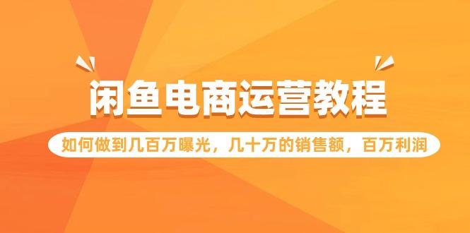 (9560期)闲鱼电商运营教程：如何做到几百万曝光，几十万的销售额，百万利润-雲鼎文化传媒