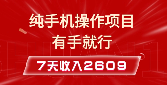 纯手机操作的小项目，有手就能做，7天收入2609+实操教程【揭秘】-雲鼎文化传媒