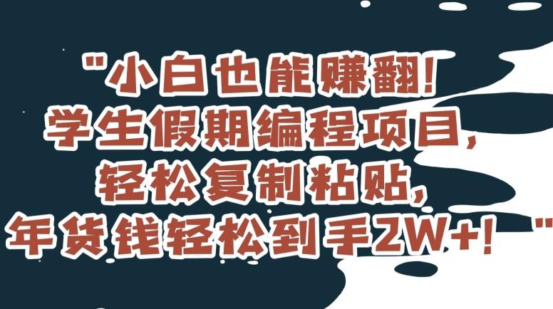 小白也能赚翻！学生假期编程项目，轻松复制粘贴，年货钱轻松到手2W+【揭秘】-雲鼎文化传媒