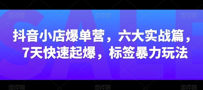 抖音小店爆单营，六大实战篇，7天快速起爆，标签暴力玩法-雲鼎文化传媒