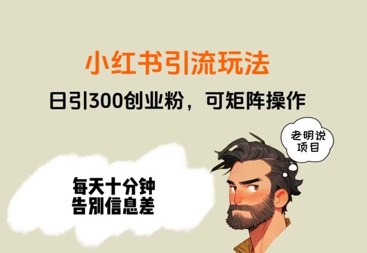 靠小红书视频日印300粉，两分钟一个视频轻松矩阵-雲鼎文化传媒