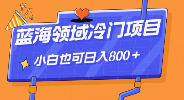 蓝海领域冷门赛道，一单39.9，日入800＋-雲鼎文化传媒