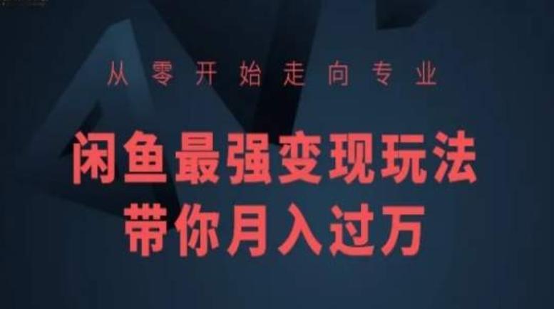 从零开始走向专业，闲鱼最强变现玩法带你月入过万-雲鼎文化传媒