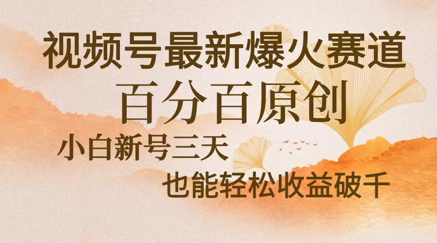 视频号最新爆火赛道，中老年粉深信不疑，百分百原创，新号三天收益轻松…-雲鼎文化传媒