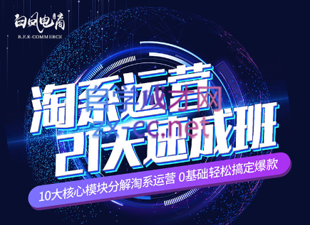 淘系运营21天速成班(更新24年5月)-雲鼎文化传媒