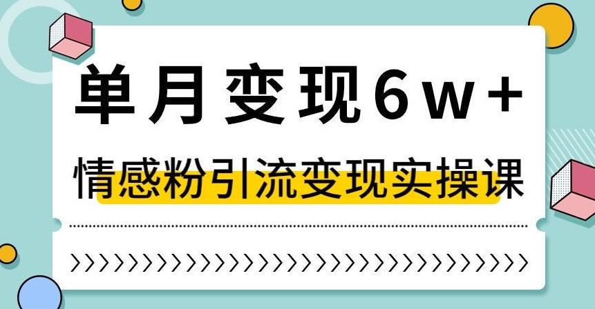 单月变现6W+，抖音情感粉引流变现实操课，小白可做，轻松上手，独家赛道【揭秘】-雲鼎文化传媒