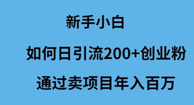 (9668期)新手小白如何日引流200+创业粉通过卖项目年入百万-雲鼎文化传媒