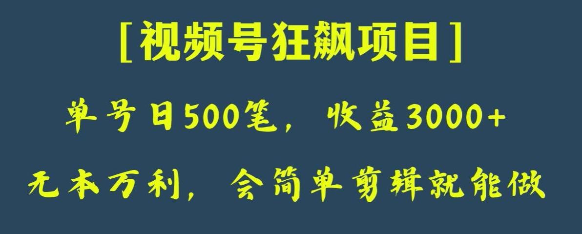 日收款500笔，纯利润3000+，视频号狂飙项目，会简单剪辑就能做【揭秘】-雲鼎文化传媒