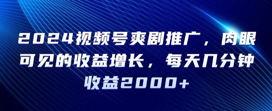 2024视频号爽剧推广，肉眼可见的收益增长，每天几分钟收益2000+【揭秘】-雲鼎文化传媒