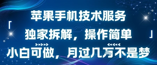 苹果手机技术服务，独家拆解，操作简单，小白可做，月过1W不是梦-雲鼎文化传媒