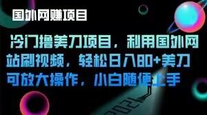 冷门撸美刀项目，利用国外网站刷视频，轻松日入80+美刀，可放大操作，小白随便上手-雲鼎文化传媒